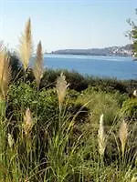 Niriides